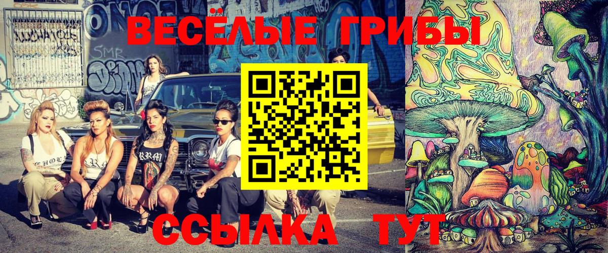 Чехов  Псилоцибиновые грибы Psilocybine cubensis  Вход с VPN 
