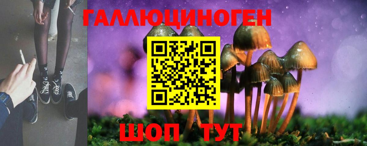 Псилоцибиновые грибы мицелий Чехов